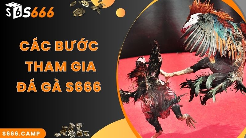 Bước gia nhập xem trực tiếp và cược đá gà tại S666