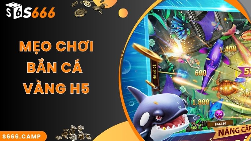 Mẹo chơi hay áp dụng trong game bắn cá vàng H5