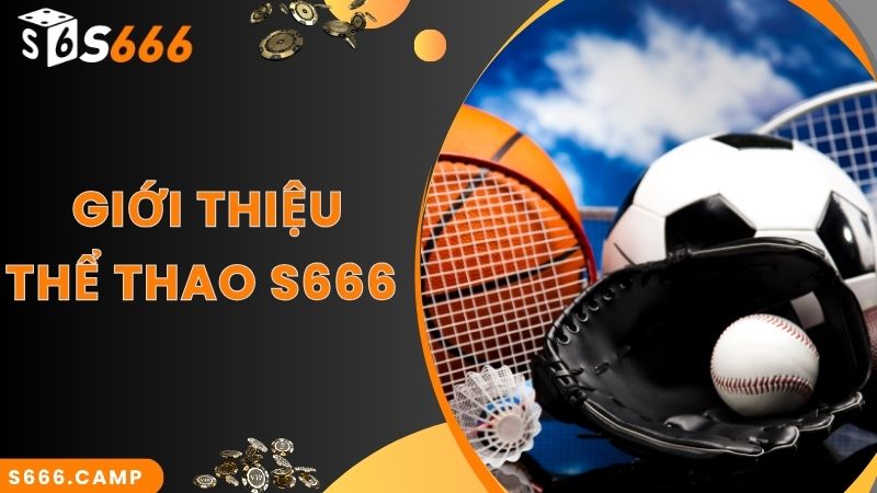 S666 nổi tiếng với sảnh cược thể thao trực tuyến