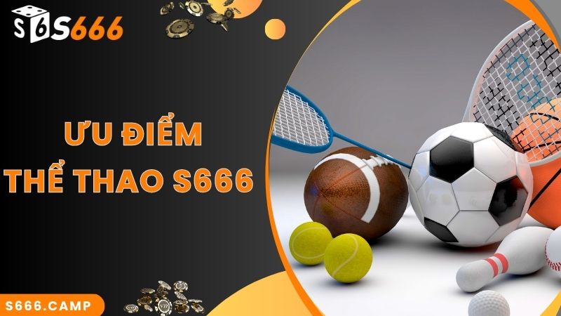 Sức hút nhiều người khám phá sảnh S666 thể thao online